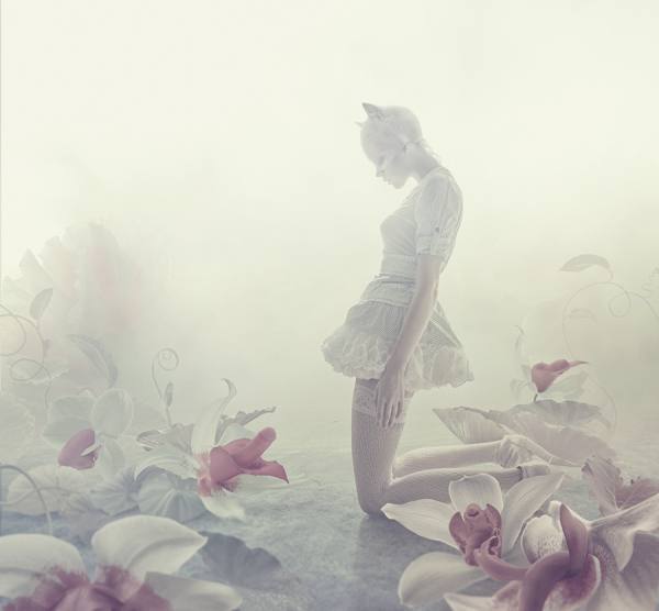 Photograph Elena Vizerskaya Cat Women on One Eyeland